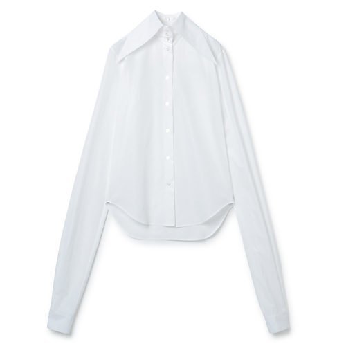 【ザ ロウ/THE ROW】のACE SHIRT 人気、トレンドファッション・服の通販 founy(ファニー) 　ファッション　Fashion　レディースファッション　WOMEN　トップス・カットソー　Tops/Tshirt　シャツ/ブラウス　Shirts/Blouses　2023年　2023　2023春夏・S/S　Ss,Spring/Summer,2023　クラシカル　Classical　スタンド　Stand　ドレス　Dress　モダン　Modern　 other-1|ID: prp329100004257592 ipo3291000000029569624