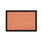 【セルヴォーク/Celvoke / GOODS】のセルヴォーク ヴァティック アイズ 11 アプリコット|ID: prp329100004294164 ipo3291000000032166201