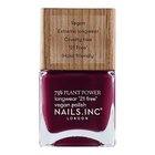 【ネイルズインク/NAILS INC】のプラント パワー ネイルポリッシュ フレックス マイ コンプレックス|ID: prp329100004294176 ipo3291000000032172944