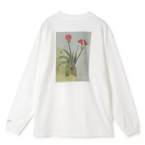 【ジェーンスミス/JANE SMITH】のNICOLA KLOOSTERMAN HYBRID L/S T-SHIRT 人気、トレンドファッション・服の通販 founy(ファニー) 　ファッション　Fashion　レディースファッション　Ladies' Fashion Online　トップス・カットソー　Tops/Tshirt　シャツ/ブラウス　Shirts/Blouses　ロング / Tシャツ　T-Shirts　シンプル　Simple　プリント　Print　ベーシック　Basic　ロング　Long　洗える　Washable　other-3|ID: prp329100004343987 ipo3291000000032616968