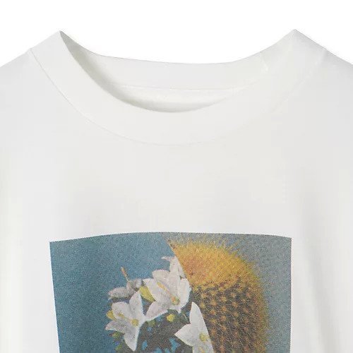 【ジェーンスミス/JANE SMITH】のNICOLA KLOOSTERMAN HYBRID L/S T-SHIRT 人気、トレンドファッション・服の通販 founy(ファニー) 　ファッション　Fashion　レディースファッション　Fashion for Women　トップス・カットソー　Cut & Sew Tops　シャツ・ブラウス・オフィスカジュアル　Elegant Blouses & Button-Ups　ロングTシャツ・Tシャツ　Longline T-Shirts & Tees　シンプル　Simple, Minimal　プリント　Print, Printed Pattern　ベーシック　Basic, Essential　ロング　Long, Long-Length　洗える　Machine Washable　other-3|ID: prp329100004343987 ipo3291000000033049511