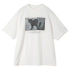 【ジェーンスミス/JANE SMITH】のNICOLA KLOOSTERMAN NINE LIVES S/S T-SHIRT WHITE|ID: prp329100004350453 ipo3291000000033486522