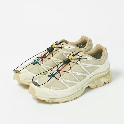 【サロモン/Salomon】のXT-6 GTX インテリア・キッズ・メンズ・レディースファッション・服の通販 founy(ファニー) 　ファッション　Fashion　レディースファッション　WOMEN　クッション　Cushion　スニーカー　Sneakers　メッシュ　Mesh　OXFORD TAN / ALMOND MILK / SAFARI|ID: prp329100004352455 ipo3291000000030990124