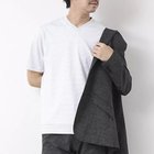 【ノーリーズ グッドマン/NOLLEY'S goodman / MEN】の《ビジカジ対応》セミシルケットスムース ボーダー Vネック ドレスTシャツ 25SS ホワイト系その他|ID: prp329100004411195 ipo3291000000030803430