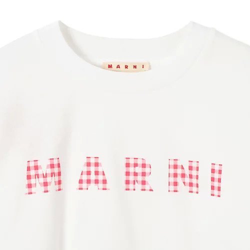 【マルニ/MARNI】のT-SHIRT 人気、トレンドファッション・服の通販 founy(ファニー) 　ファッション　Fashion　レディースファッション　Ladies' Fashion Online　トップス・カットソー　Tops/Tshirt　シャツ/ブラウス　Shirts/Blouses　ロング / Tシャツ　T-Shirts　2025年　2025　2025春夏・S/S　Ss,Spring/Summer,2025　ギンガム　Gingham　コンパクト　Compact　チェック　Check　バランス　Balance　リラックス　Relax　レトロ　Retro　今季　This Season　半袖　Short Sleeve　洗える　Washable　other-3|ID: prp329100004428706 ipo3291000000032524253