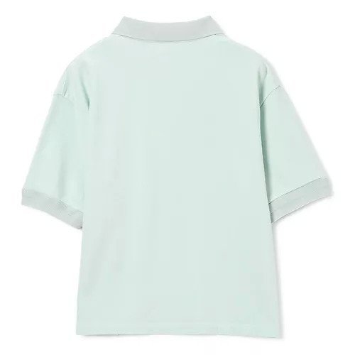 【シンゾーン/Shinzone】のWIDE POLO SHIRT 人気、トレンドファッション・服の通販 founy(ファニー) ファッション Fashion レディースファッション Fashion for Women トップス・カットソー Cut & Sew Tops シャツ・ブラウス・オフィスカジュアル Elegant Blouses & Button-Ups ポロシャツ・きれいめカジュアル Smart-Casual Polo Tops インナー Innerwear シンプル Simple, Minimal ボックス Boxy, Box Shape ボーダー Border, Stripe ポロシャツ Polo Shirt, Collared Tee other-2|ID: prp329100004434881 ipo3291000000035429044