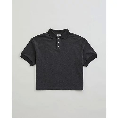 【ザシンゾーン/THE Shinzone】のWIDE POLO SHIRT インテリア・キッズ・メンズ・レディースファッション・服の通販 founy(ファニー) ファッション Fashion レディースファッション Fashion for Women トップス・カットソー Cut & Sew Tops シャツ・ブラウス・オフィスカジュアル Elegant Blouses & Button-Ups ポロシャツ・きれいめカジュアル Smart-Casual Polo Tops インナー Innerwear シンプル Simple, Minimal ボックス Boxy, Box Shape ボーダー Border, Stripe ポロシャツ Polo Shirt, Collared Tee C.GRAY|ID: prp329100004434881 ipo3291000000036328217