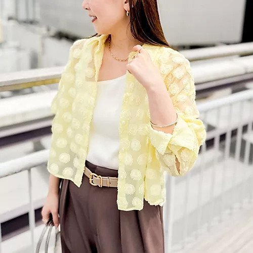 【ノーリーズソフィー/NOLLEY'S sophi】のシアーフラワージャガードショートシャツ インテリア・キッズ・メンズ・レディースファッション・服の通販 founy(ファニー) https://founy.com/ ファッション Fashion レディースファッション Fashion for Women トップス・カットソー Cut & Sew Tops シャツ・ブラウス・オフィスカジュアル Elegant Blouses & Button-Ups 2025年 2025 2025春夏・S/S Spring/Summer 2025 SS25 おすすめ Recommended / Our Picks ショート Short, Short Length フラワー Flower, Floral ボトム Bottoms, Lower Wear モチーフ Motif, Design Theme 夏 Summer 羽織 Haori, Light Jacket |ID: prp329100004452924 ipo3291000000033744124