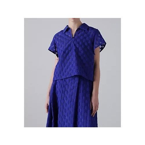 【アドーア/ADORE】のダミエジャガードブラウス インテリア・キッズ・メンズ・レディースファッション・服の通販 founy(ファニー) 　ファッション　Fashion　レディースファッション　Fashion for Women　トップス・カットソー　Cut & Sew Tops　シャツ・ブラウス・オフィスカジュアル　Elegant Blouses & Button-Ups　おすすめ　Recommended / Our Picks　シルク　Silk, 100% Silk　ジャカード／ジャガード　Jacquard, Woven Pattern　スキッパー　Skipper, Open Collar　スタンダード　Standard, Basic　セットアップ　Set-Up, Coordinated Outfit　フィット　Fit, Slim Fit　モチーフ　Motif, Design Theme　夏　Summer　春　Spring　S/S・春夏　SS, Spring/Summer, Warm Season　無地　Plain, Solid Color　ブルー|ID: prp329100004459120 ipo3291000000031212012