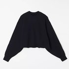 【ウィムガゼット/Whim Gazette】の【スタイリスト川上さやかさんコラボ】スウェットプルオーバー ブラック|ID: prp329100004459180 ipo3291000000036321920