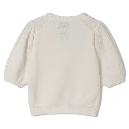【ミュベール/MUVEIL】のフラワー刺繍プルオーバー 人気、トレンドファッション・服の通販 founy(ファニー) 　ファッション　Fashion　レディースファッション　WOMEN　トップス・カットソー　Tops/Tshirt　プルオーバー　Pullover　2025年　2025　2025春夏・S/S　Ss,Spring/Summer,2025　チュール　Tulle　フラワー　Flower　半袖　Short Sleeve　other-2|ID: prp329100004459499 ipo3291000000031252657
