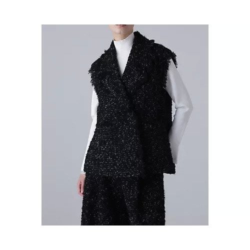 【アドーア/ADORE】のファンシーツィードジレ 人気、トレンドファッション・服の通販 founy(ファニー) 　ファッション　Fashion　レディースファッション　WOMEN　アウター　Coat Outerwear　トップス・カットソー　Tops/Tshirt　ベスト/ジレ　Gilets/Vests　おすすめ　Recommend　オケージョン　Occasion　スタンダード　Standard　セットアップ　Set Up　ツイード　Tweed　フィット　Fit　ミックス　Mix　モヘヤ　Mohair　ループ　Loop　夏　Summer　春　Spring　S/S・春夏　Ss・Spring/Summer　 other-1|ID: prp329100004459522 ipo3291000000031213532