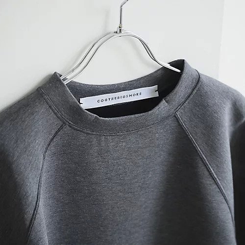 【コグ ザビッグスモーク/COGTHEBIGSMOKE】のスウェットトップス 人気、トレンドファッション・服の通販 founy(ファニー) 　ファッション　Fashion　レディースファッション　WOMEN　トップス・カットソー　Tops/Tshirt　パーカ　Sweats　スウェット　Sweat　スウェット　Sweat　フォルム　Form　洗える　Washable　other-3|ID: prp329100004460413 ipo3291000000031720477