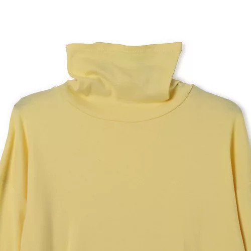 【プレインピープル/PLAIN PEOPLE】のコットンフライスタートルネックプルオーバー 人気、トレンドファッション・服の通販 founy(ファニー) 　ファッション　Fashion　レディースファッション　WOMEN　トップス・カットソー　Tops/Tshirt　プルオーバー　Pullover　タートルネック　Turtleneck　おすすめ　Recommend　洗える　Washable　other-3|ID: prp329100004460461 ipo3291000000031239509