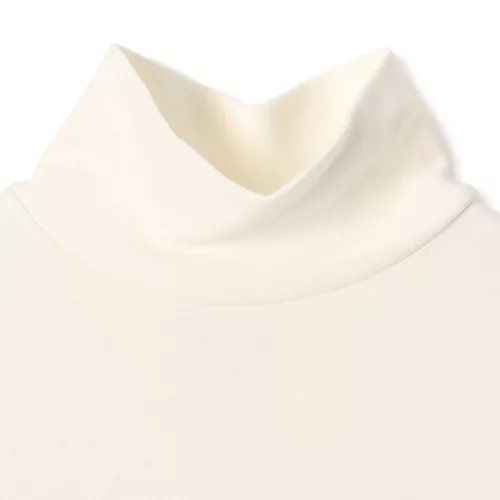 【プレインピープル/PLAIN PEOPLE】のコットンスムースタートルネックプルオーバー 人気、トレンドファッション・服の通販 founy(ファニー) 　ファッション　Fashion　レディースファッション　Fashion for Women　トップス・カットソー　Cut & Sew Tops　カジュアルプルオーバー・ニットトップス　Pullovers & Knit Tops / Casual Pullovers　タートルネック・ハイネックトップス　Turtlenecks & High-Neck Tops　タートルネック　Turtleneck, High Neck　定番　Standard, Basic Item　洗える　Machine Washable　other-3|ID: prp329100004461832 ipo3291000000035297665