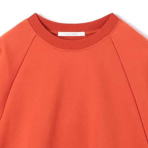 【プレインピープル/PLAIN PEOPLE】のブラッシュドスウェットボリュームプルオーバー 人気、トレンドファッション・服の通販 founy(ファニー) 　ファッション　Fashion　レディースファッション　WOMEN　トップス・カットソー　Tops/Tshirt　パーカ　Sweats　プルオーバー　Pullover　スウェット　Sweat　シルケット　Mercerization　ドレープ　Drape　エレガント 上品　Elegant　洗える　Washable　other-3|ID: prp329100004462491 ipo3291000000031244713