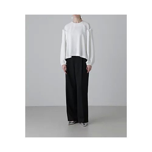 【アドーア/ADORE】のブライトダブルクロスパンツ 人気、トレンドファッション・服の通販 founy(ファニー) 　ファッション　Fashion　レディースファッション　Fashion for Women　パンツ　Pants & Trousers　おすすめ　Recommended / Our Picks　グログラン　Grosgrain, Grosgrain Ribbon　サテン　Satin, Glossy Fabric　シンプル　Simple, Minimal　スタンダード　Standard, Basic　ストレート　Straight, Straight Cut　セットアップ　Set-Up, Coordinated Outfit　フィット　Fit, Slim Fit　ベーシック　Basic, Essential　ビジネス 仕事 通勤　Business / Work / Commuting　other-3|ID: prp329100004462774 ipo3291000000034133685