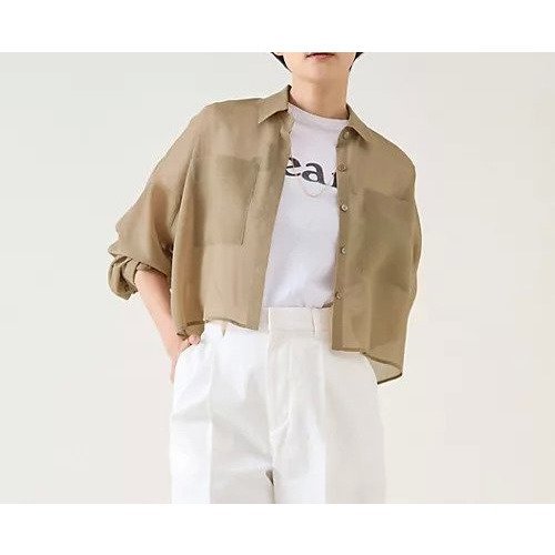 【マルティニーク/martinique】のドライシアーブラウス インテリア・キッズ・メンズ・レディースファッション・服の通販 founy(ファニー) 　ファッション　Fashion　レディースファッション　WOMEN　トップス・カットソー　Tops/Tshirt　シャツ/ブラウス　Shirts/Blouses　おすすめ　Recommend　シアー　Sheer　ショート　Short　ノースリーブ　No Sleeve　羽織　Haori　ベージュ|ID: prp329100004463051 ipo3291000000031232097