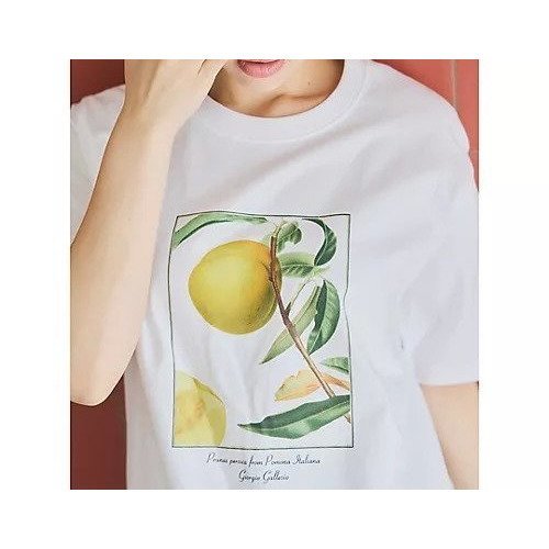 【スアデオ/suadeo】のフルーツプリントTシャツ 人気、トレンドファッション・服の通販 founy(ファニー) 　ファッション　Fashion　レディースファッション　Fashion for Women　トップス・カットソー　Cut & Sew Tops　シャツ・ブラウス・オフィスカジュアル　Elegant Blouses & Button-Ups　ロングTシャツ・Tシャツ　Longline T-Shirts & Tees　イタリア　Italy　洗える　Machine Washable　コイン　Coin, Coin Design　チェリー　Cherry, Cherry Pattern　なめらか　Smooth, Silky Texture　バランス　Balance, Style Balance　ピーチ　Peach, Soft Touch　プリント　Print, Printed Pattern　リゾート　Resort, Vacation Style　夏　Summer　旅行　Travel　other-3|ID: prp329100004485131 ipo3291000000032718051