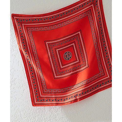 【ウィムガゼット/Whim Gazette】の【le scarf】ペイズリーシルクスカーフ インテリア・キッズ・メンズ・レディースファッション・服の通販 founy(ファニー) 　ファッション　Fashion　レディースファッション　WOMEN　2025年　2025　2025春夏・S/S　Ss,Spring/Summer,2025　シルク　Silk　スカーフ　Scarf　ペイズリー　Paisley　ラグジュアリー　Luxury　エレガント 上品　Elegant　レッド|ID: prp329100004486908 ipo3291000000031630798
