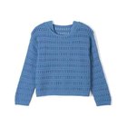 【スアデオ/suadeo】のメッシュニット*タンク付き 人気、トレンドファッション・服の通販 founy(ファニー) ファッション Fashion レディースファッション Fashion for Women トップス・カットソー Cut & Sew Tops ニット Knit Tops & Sweaters タンク Tank Top, Sleeveless Top ペチコート Petticoat, Underskirt ボックス Boxy, Box Shape ボーダー Border, Stripe メッシュ Mesh, Net Fabric 洗える Machine Washable thumbnail ブルー|ID: prp329100004508007 ipo3291000000034954824