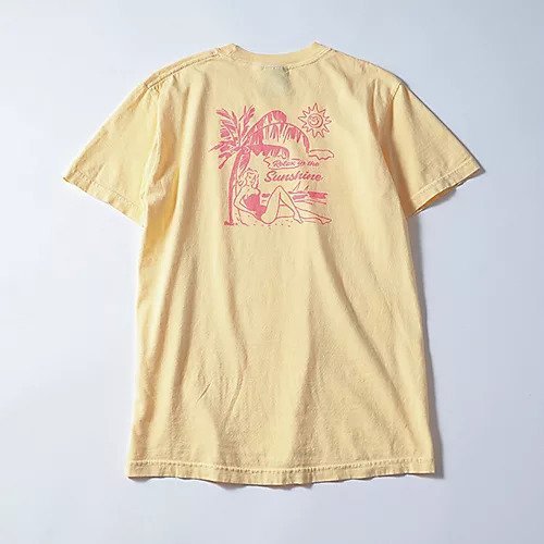 【パロットキャンバス/PARROTT CANVAS】の【LEE別注】【洗える】DELAND HOTEL S/S T-SHIRT 人気、トレンドファッション・服の通販 founy(ファニー) ファッション Fashion レディースファッション Fashion for Women トップス・カットソー Cut & Sew Tops シャツ・ブラウス・オフィスカジュアル Elegant Blouses & Button-Ups ロングTシャツ・Tシャツ Longline T-Shirts & Tees 旅行 Travel 小旅行 Short Trip イエロー Yellow グラフィック Graphic, Graphic Design プリント Print, Printed Pattern 今季 This Season, Current Season 別注 Limited Edition, Custom Order 夏 Summer S/S・春夏 SS, Spring/Summer, Warm Season 洗える Machine Washable other-3|ID: prp329100004515023 ipo3291000000035903799