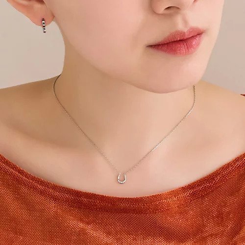 【フィービィー/phoebe】の【金属アレルギー対応】リッチラインフォースシューネックレス シルバー/サージカルステンレス 人気、トレンドファッション・服の通販 founy(ファニー) 　ファッション　Fashion　レディースファッション　WOMEN　ジュエリー　Jewelry　ネックレス　Necklaces　おすすめ　Recommend　シルバー　Silver　other-2|ID: prp329100004516180 ipo3291000000031914670