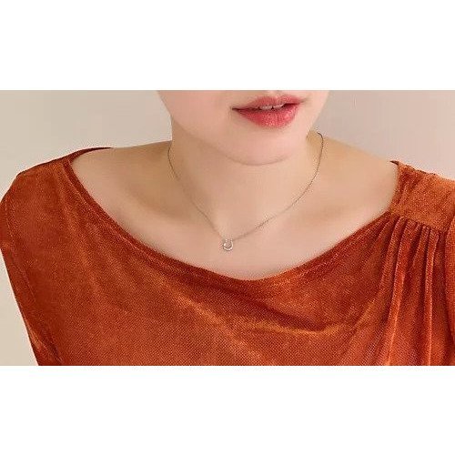 【フィービィー/phoebe】の【金属アレルギー対応】リッチラインフォースシューネックレス シルバー/サージカルステンレス 人気、トレンドファッション・服の通販 founy(ファニー) 　ファッション　Fashion　レディースファッション　WOMEN　ジュエリー　Jewelry　ネックレス　Necklaces　おすすめ　Recommend　シルバー　Silver　other-3|ID: prp329100004516180 ipo3291000000031914672