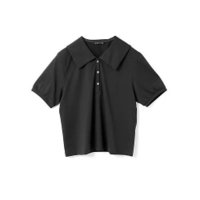【ミズイロ インド/mizuiro ind】のワイドカラーポロシャツ 人気、トレンドファッション・服の通販 founy(ファニー) ファッション Fashion レディースファッション WOMEN トップス・カットソー Tops/Tshirt シャツ/ブラウス Shirts/Blouses ポロシャツ Polo Shirts カットソー Cut And Sew プレミアム Premium ベーシック Basic ポロシャツ Polo Shirt ワイド Wide 夏 Summer |ID:prp329100004523592