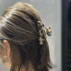 【ノーリーズ/NOLLEY'S】のヘアクリップ ブラウン系1|ID: prp329100004541311 ipo3291000000032085985
