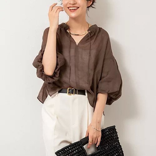 【ノーリーズ/NOLLEY'S】の【WEB限定カラーあり】シアーラミー袖バルーンブラウス インテリア・キッズ・メンズ・レディースファッション・服の通販 founy(ファニー) 　ファッション　Fashion　レディースファッション　Fashion for Women　トップス・カットソー　Cut & Sew Tops　シャツ・ブラウス・オフィスカジュアル　Elegant Blouses & Button-Ups　2025年　2025　2025春夏・S/S　Spring/Summer 2025 SS25　スリーブ　Sleeve, Long Sleeve / Short Sleeve　バルーン　Balloon, Balloon Silhouette　エレガント 上品　Elegant　ブラウン|ID: prp329100004542710 ipo3291000000032100047