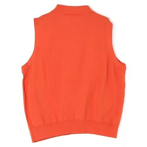 【デミーリー/DEMYLEE】のAYANA TOP 人気、トレンドファッション・服の通販 founy(ファニー) 　ファッション　Fashion　レディースファッション　Fashion for Women　ワンピース　Dresses　クラシック　Classic, Timeless Style　スリム　Slim, Slim Fit　ノースリーブ　Sleeveless, No-Sleeve　フィット　Fit, Slim Fit　ポロシャツ　Polo Shirt, Collared Tee　洗える　Machine Washable　other-2|ID: prp329100004553166 ipo3291000000033853627