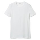 【リノ/LENO】のPETITE T-SHIRT 人気、トレンドファッション・服の通販 founy(ファニー) ファッション Fashion レディースファッション WOMEN トップス・カットソー Tops/Tshirt シャツ/ブラウス Shirts/Blouses ロング / Tシャツ T-Shirts ベーシック Basic モダン Modern 定番 Standard 洗える Washable thumbnail WHITE|ID: prp329100004553210 ipo3291000000032182502