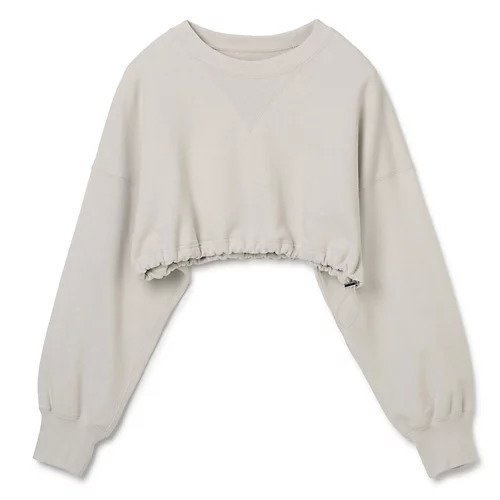 【ジェーンスミス/JANE SMITH】のSHORT CREW NECK SWEAT SHIRT インテリア・キッズ・メンズ・レディースファッション・服の通販 founy(ファニー) 　ファッション　Fashion　レディースファッション　WOMEN　トップス・カットソー　Tops/Tshirt　シャツ/ブラウス　Shirts/Blouses　パーカ　Sweats　ロング / Tシャツ　T-Shirts　スウェット　Sweat　おすすめ　Recommend　ショート　Short　洗える　Washable　ライトベージュ|ID: prp329100004553404 ipo3291000000032351191