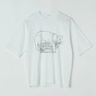 【ロエフ/LOEFF】のLFU SLEEPING CAT T 人気、トレンドファッション・服の通販 founy(ファニー) ファッション Fashion レディースファッション WOMEN グラフィック Graphic シンプル Simple ドレープ Drape ネコ Cat プリント Print モチーフ Motif エレガント 上品 Elegant 洗える Washable 猫 Cat thumbnail White|ID: prp329100004563534 ipo3291000000032271575