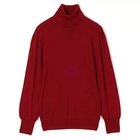 【シンメ/SINME】のタートルネックニット 人気、トレンドファッション・服の通販 founy(ファニー) ファッション Fashion レディースファッション Fashion for Women トップス・カットソー Cut & Sew Tops ニット Knit Tops & Sweaters タートルネック・ハイネックトップス Turtlenecks & High-Neck Tops サロペット Overalls, Salopette シンプル Simple, Minimal タートルネック Turtleneck, High Neck 洗える Machine Washable thumbnail レッド|ID: prp329100004571826 ipo3291000000034376039