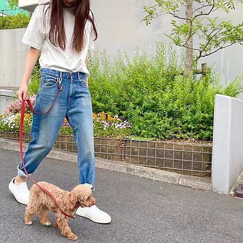 【スアデオ/suadeo】の【HOSU】コラボストライプストラップ(2cm幅) 人気、トレンドファッション・服の通販 founy(ファニー) 　ファッション　Fashion　レディースファッション　Ladies' Fashion Online　シルバー　Silver　シンプル　Simple　スポーツ　Sports　スマート　Smart　ラップ　Wrap　日本製　Made In Japan　犬　Dog　エレガント 上品　Elegant　other-2|ID: prp329100004572719 ipo3291000000032639484