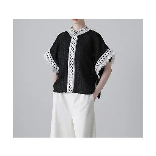 【アドーア/ADORE】のレーシーメッシュブラウス 人気、トレンドファッション・服の通販 founy(ファニー) 　ファッション　Fashion　レディースファッション　Ladies' Fashion Online　トップス・カットソー　Tops/Tshirt　シャツ/ブラウス　Shirts/Blouses　おすすめ　Recommend　カフス　Cuffs　スタンダード　Standard　チェック　Check　ツィード　Tweed　ツイード　Tweed　フィット　Fit　レース　Race　夏　Summer　春　Spring　S/S・春夏　Ss・Spring/Summer　羽織　Haori　other-2|ID: prp329100004587617 ipo3291000000032536008