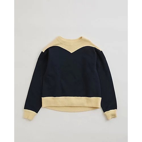 【シンゾーン/Shinzone】のCOLOR BLOCK SWEATSHIRT 人気、トレンドファッション・服の通販 founy(ファニー) 　ファッション　Fashion　レディースファッション　Ladies' Fashion Online　トップス・カットソー　Tops/Tshirt　シャツ/ブラウス　Shirts/Blouses　パーカ　Sweats　ロング / Tシャツ　T-Shirts　スウェット　Sweat　カットソー　Cut And Sew　ショルダー　Shoulder　シンプル　Simple　 other-1|ID: prp329100004593101 ipo3291000000032612372