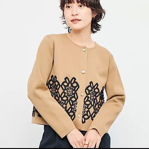 【ノーリーズ/NOLLEY'S】のレース付きクルーネックカーディガン インテリア・キッズ・メンズ・レディースファッション・服の通販 founy(ファニー) 　ファッション　Fashion　レディースファッション　Fashion for Women　トップス・カットソー　Cut & Sew Tops　カーディガン・羽織り　Layered Style Cardigans　2025年　2025　2025-2026秋冬・A/W　Autumn/Winter 2025–26 AW25–26　カーディガン　Cardigan, Knitwear　ショート　Short, Short Length　フレア　Flare, Flared　ベスト　Vest, Waistcoat　ペプラム　Peplum, Flared Hem　ミラノリブ　Milano Rib, Milano Stitch　モチーフ　Motif, Design Theme　レース　Lace, Lace Fabric　エレガント 上品　Elegant　キャメル|ID: prp329100004601524 ipo3291000000032716181