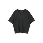 【ミズイロ インド/mizuiro ind】のストレッチレースクルーネックTシャツ ブラック|ID:prp329100004606295