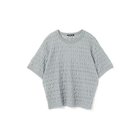 【ミズイロ インド/mizuiro ind】のストレッチレースクルーネックTシャツ グレー|ID:prp329100004606295