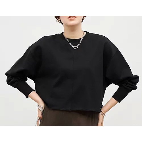 【ノーリーズ/NOLLEY'S】のショート丈裏毛スウェット インテリア・キッズ・メンズ・レディースファッション・服の通販 founy(ファニー) 　ファッション　Fashion　レディースファッション　Fashion for Women　トップス・カットソー　Cut & Sew Tops　レディースパーカー・カジュアルフーディー　Casual Hoodies & Sweatshirts　スウェット・クルーネックトップス　Sweatshirts & Crewnecks / Relaxed Fit Sweat Tops　2025年　2025　2025-2026秋冬・A/W　Autumn/Winter 2025–26 AW25–26　おすすめ　Recommended / Our Picks　カットソー　Cut and Sewn Top　ショート　Short, Short Length　スウェット / スエット　Sweatshirt, Sweatwear　バランス　Balance, Style Balance　ロング　Long, Long-Length　ブラック|ID: prp329100004620209 ipo3291000000033138249