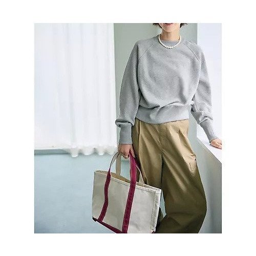 【トゥエルブクローゼット/12closet】の【洗える】ラメコンパクトスウェット 人気、トレンドファッション・服の通販 founy(ファニー) 　ファッション　Fashion　レディースファッション　Fashion for Women　トップス・カットソー　Cut & Sew Tops　レディースパーカー・カジュアルフーディー　Casual Hoodies & Sweatshirts　スウェット・クルーネックトップス　Sweatshirts & Crewnecks / Relaxed Fit Sweat Tops　コンパクト　Compact, Small Size　シルバー　Silver, Metallic Silver　スウェット / スエット　Sweatshirt, Sweatwear　バランス　Balance, Style Balance　洗える　Machine Washable　無地　Plain, Solid Color　other-2|ID: prp329100004631576 ipo3291000000033745813