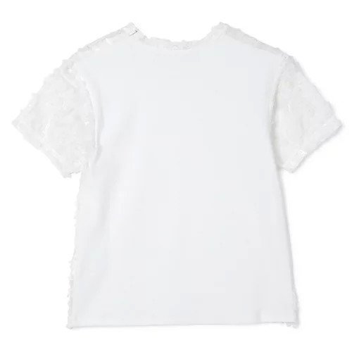 【カナコ サカイ/KANAKO SAKAI】のLACE T-SHIRT 人気、トレンドファッション・服の通販 founy(ファニー) 　ファッション　Fashion　レディースファッション　Fashion for Women　トップス・カットソー　Cut & Sew Tops　シャツ・ブラウス・オフィスカジュアル　Elegant Blouses & Button-Ups　ロングTシャツ・Tシャツ　Longline T-Shirts & Tees　2025年　2025　2025-2026秋冬・A/W　Autumn/Winter 2025–26 AW25–26　シアー　Sheer, See-Through　シフォン　Chiffon, Lightweight Fabric　ジャケット　Jacket, Outerwear　ストレッチ　Stretch, Stretchy Fabric　バランス　Balance, Style Balance　レース　Lace, Lace Fabric　洗える　Machine Washable　other-2|ID: prp329100004636029 ipo3291000000035844088