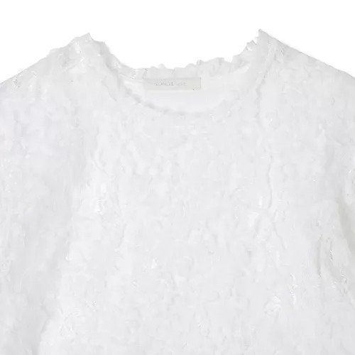 【カナコ サカイ/KANAKO SAKAI】のLACE T-SHIRT 人気、トレンドファッション・服の通販 founy(ファニー) 　ファッション　Fashion　レディースファッション　Fashion for Women　トップス・カットソー　Cut & Sew Tops　シャツ・ブラウス・オフィスカジュアル　Elegant Blouses & Button-Ups　ロングTシャツ・Tシャツ　Longline T-Shirts & Tees　2025年　2025　2025-2026秋冬・A/W　Autumn/Winter 2025–26 AW25–26　シアー　Sheer, See-Through　シフォン　Chiffon, Lightweight Fabric　ジャケット　Jacket, Outerwear　ストレッチ　Stretch, Stretchy Fabric　バランス　Balance, Style Balance　レース　Lace, Lace Fabric　洗える　Machine Washable　other-3|ID: prp329100004636029 ipo3291000000035844091