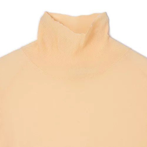 【カナコ サカイ/KANAKO SAKAI】のSHEER KNIT TURTLENECK 人気、トレンドファッション・服の通販 founy(ファニー) ファッション Fashion レディースファッション Fashion for Women トップス・カットソー Cut & Sew Tops ニット Knit Tops & Sweaters タートルネック・ハイネックトップス Turtlenecks & High-Neck Tops 2025年 2025 2025-2026秋冬・A/W Autumn/Winter 2025–26 AW25–26 エアリー Airy Texture タートルネック Turtleneck, High Neck エレガント 上品 Elegant 洗える Machine Washable other-3|ID: prp329100004636035 ipo3291000000035844114