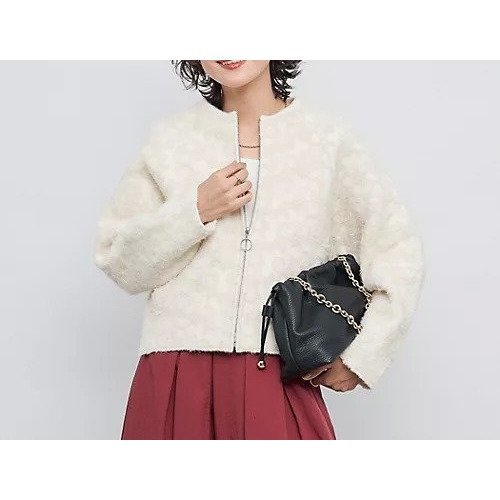 【ノーリーズ/NOLLEY'S】のレースコンビニットブルゾン インテリア・キッズ・メンズ・レディースファッション・服の通販 founy(ファニー) 　ファッション　Fashion　レディースファッション　Fashion for Women　アウター　Coat / Outerwear Collection　ブルゾンジャケット・スポーティアウター　Blouson Jackets　トップス・カットソー　Cut & Sew Tops　ニット　Knit Tops & Sweaters　2025年　2025　2025-2026秋冬・A/W　Autumn/Winter 2025–26 AW25–26　エレガント 上品　Elegant　カットソー　Cut and Sewn Top　コンパクト　Compact, Small Size　シアー　Sheer, See-Through　シンプル　Simple, Minimal　ブルゾン　Blouson, Bomber Jacket　レース　Lace, Lace Fabric　エクリュ|ID: prp329100004645416 ipo3291000000033526529