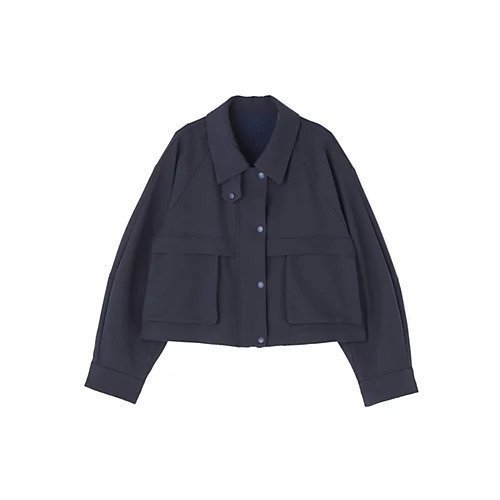 【ヒューマンウーマン/HUMAN WOMAN】のユーティリティーステンカラーショートブルゾン インテリア・キッズ・メンズ・レディースファッション・服の通販 founy(ファニー) https://founy.com/ ファッション Fashion レディースファッション Fashion for Women アウター Coat / Outerwear Collection ブルゾンジャケット・スポーティアウター Blouson Jackets スタンダード Standard, Basic |ID: prp329100004648569 ipo3291000000034525539