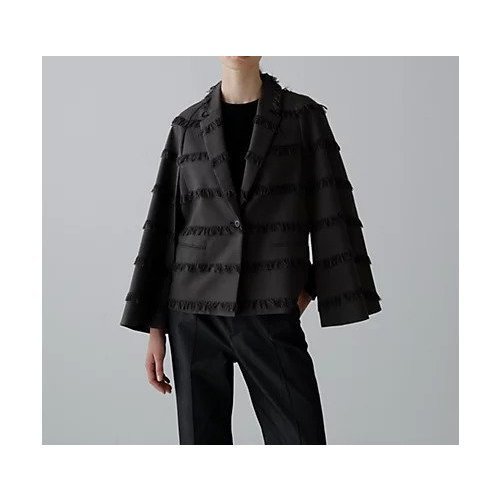 【アドーア/ADORE】のフリンジチェックジャケット 人気、トレンドファッション・服の通販 founy(ファニー) 　ファッション　Fashion　レディースファッション　Fashion for Women　アウター　Coat / Outerwear Collection　レディースジャケット・軽アウター　Jackets　おすすめ　Recommended / Our Picks　オケージョン　Occasion Wear　ジャカード／ジャガード　Jacquard, Woven Pattern　ジャケット　Jacket, Outerwear　スタンダード　Standard, Basic　スリーブ　Sleeve, Long Sleeve / Short Sleeve　セットアップ　Set-Up, Coordinated Outfit　チェック　Check, Plaid, Tartan　フィット　Fit, Slim Fit　フリンジ　Fringe, Tassel　フレア　Flare, Flared　ボーダー　Border, Stripe　夏　Summer　春　Spring　S/S・春夏　SS, Spring/Summer, Warm Season　other-2|ID: prp329100004657037 ipo3291000000033687182